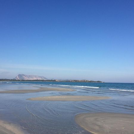 Hotel Al Faro Spiaggia La Cinta Santeodoro San Teodoro  Luaran gambar