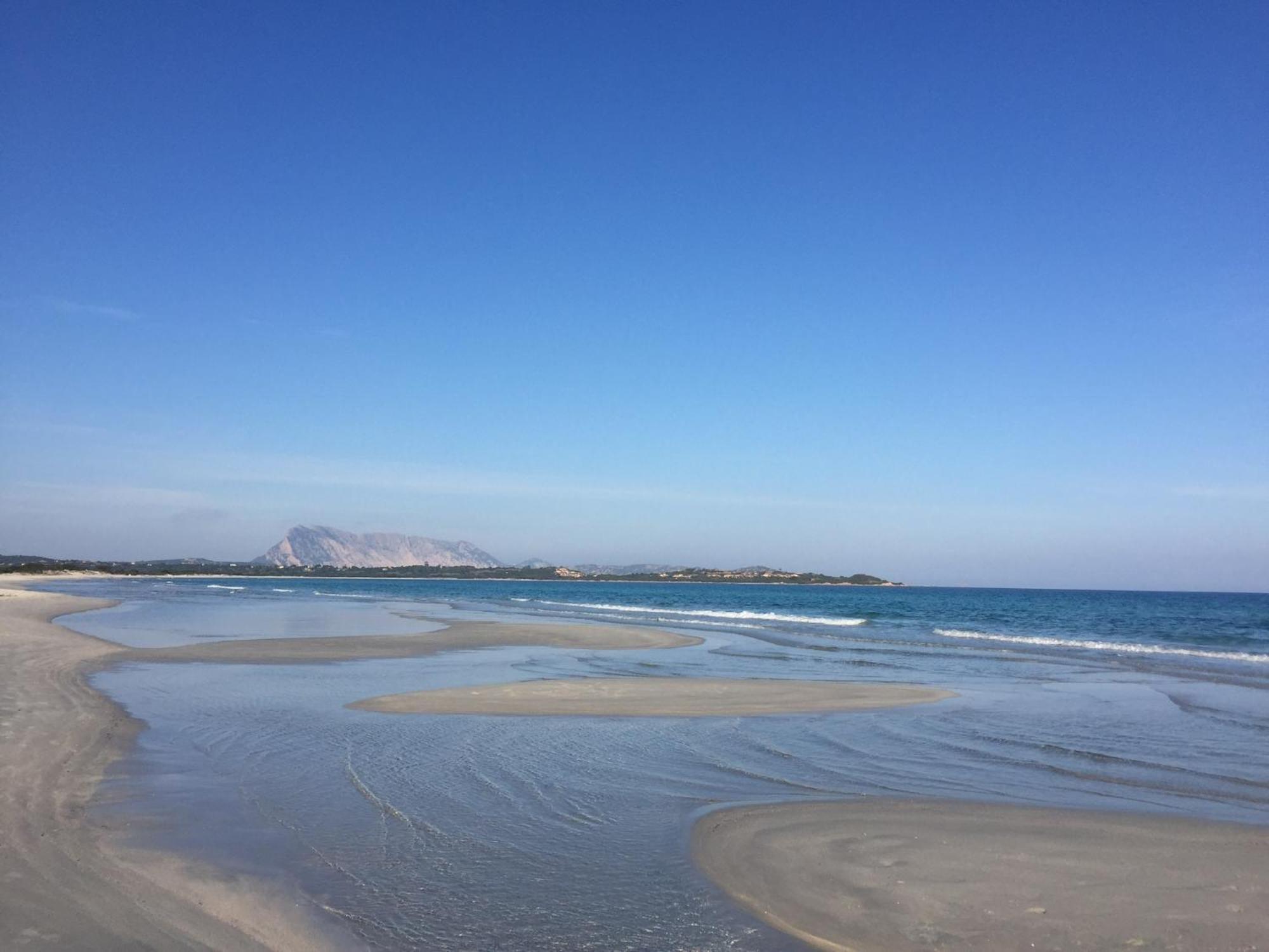 Hotel Al Faro Spiaggia La Cinta Santeodoro San Teodoro  Luaran gambar