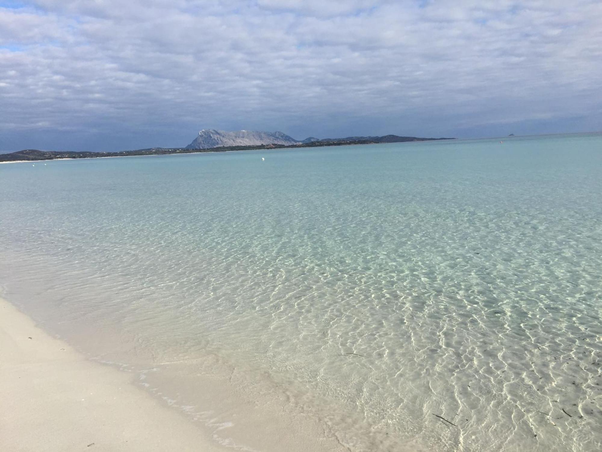Hotel Al Faro Spiaggia La Cinta Santeodoro San Teodoro  Luaran gambar